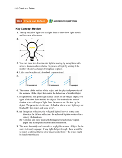 10.3 Check and Reflect pdf