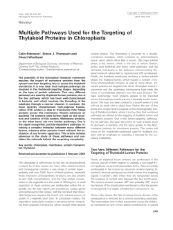 Multiple Pathways Used for the Targeting of - IMBB