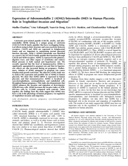 Expression of Adrenomedullin 2 (ADM2)/Intermedin (IMD) in Human