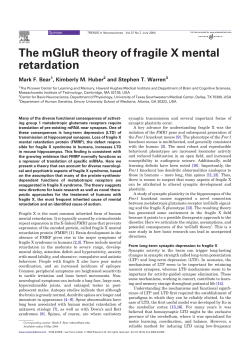 The mGluR theory of fragile X mental retardation