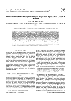Character Description in Phylogenetic Analysis