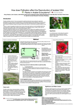 How does Pollination affect the Reproduction of Isolated Wild Plants