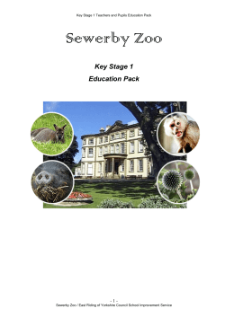 Key stage 1 educational resource pack