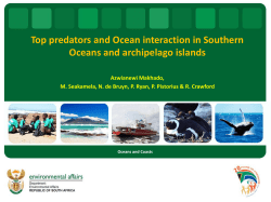 Top predators and Ocean interaction in