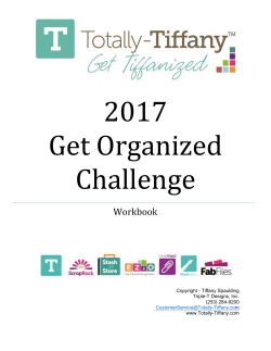 2017 Get Organized Challenge