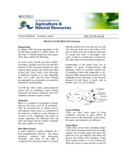 Bloat in Small Ruminants - Lee County Extension