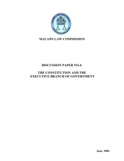 The Constitution and the Executive Branch of Government
