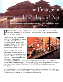 The Pekingese and The Happa Dog