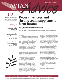 Avian Advice Vol. 8, No. 2