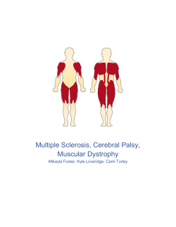 Multiple Sclerosis, Cerebral Palsy, Muscular Dystrophy