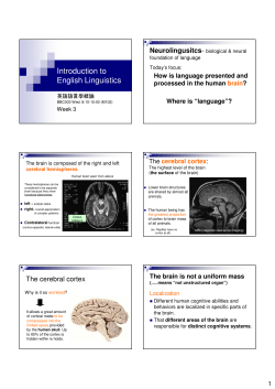 Introduction to English Linguistics