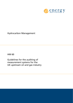 Hydrocarbon Management HM 60 Guidelines for the auditing of