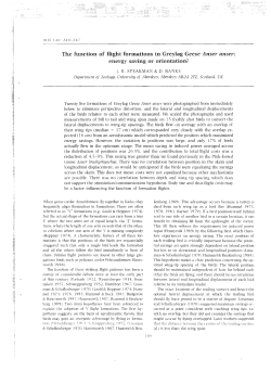 The function of flight formations in Greylag Geese Anser anser