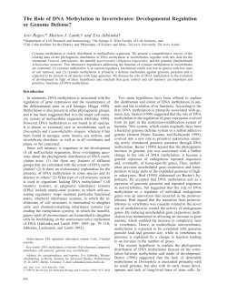 The Role of DNA Methylation in Invertebrates