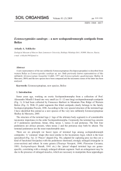Ectonocryptoides sandrops &ndash; a new scolopendromorph centipede