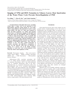 Imaging of NPQ and ROS Formation in Tobacco Leaves: Heat