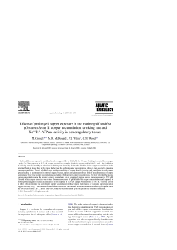 Effects of prolonged copper exposure in the marine gulf toadfish