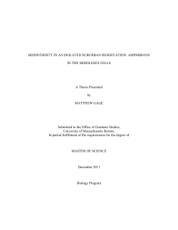 Amphibians in the Middlesex Fells