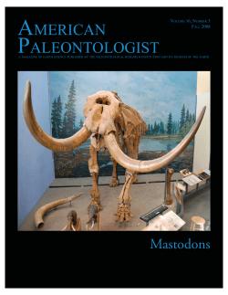 Museum Of The Earth - Paleontological Research Institution