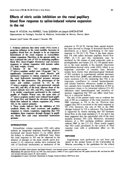 Effects of Nitric Oxide Inhibition on the Renal Papillary Blood Flow
