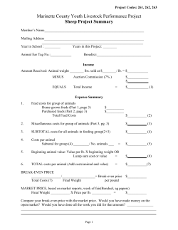 Marinette County Youth Livestock Performance Project Sheep