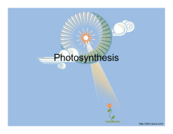Photosynthesis - Parkway C-2