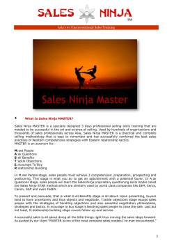 Sales Ninja Master