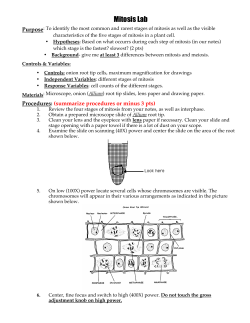Mitosis Lab recent
