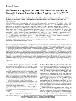Herbaceous Angiosperms Are Not More