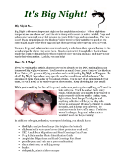 It`s Big Night! - Winnakee Land Trust