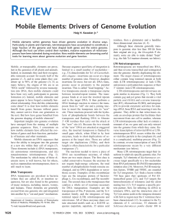 Mobile Elements - University of Bath