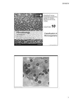 Classification of Microorganisms