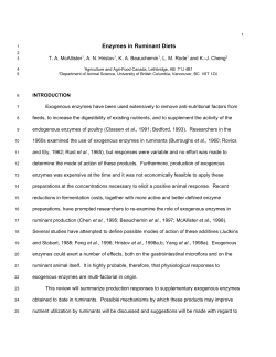 Enzymes in Ruminant Diets - Alberta Agriculture and Forestry