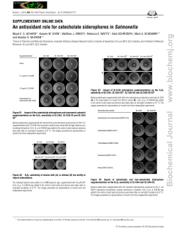 1 - Biochemical Journal