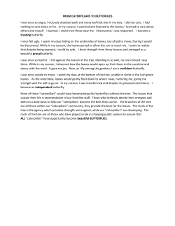 FROM CATERPILLARS TO BUTTERFLIES I was once so angry, I