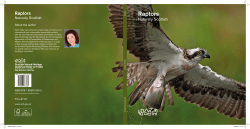 Raptors - Scottish Natural Heritage