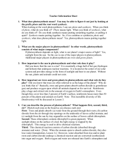 Teacher Information Sheet 1. What does photosynthesis mean? You