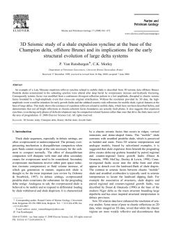 3D Seismic study of a shale expulsion syncline at the base of the