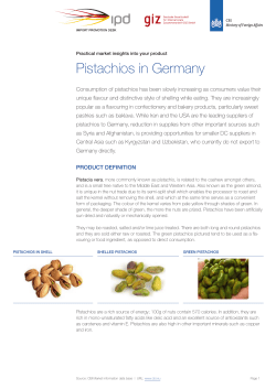 Pistachios in Germany - Import Promotion Desk