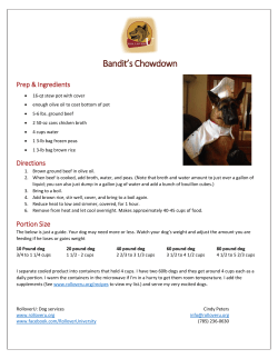 Bandit`s Chowdown