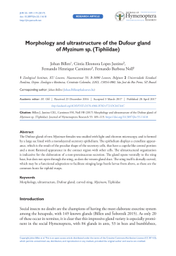 Morphology and ultrastructure of the Dufour gland of Myzinum sp
