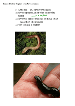 Lesson 3 Animal Kingdom notes Part 2.notebook