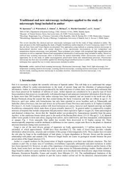 Traditional and new microscopy techniques applied to the study of