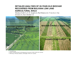 detailed analyses of 20-year