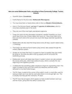 Here are some Rattlesnake Facts, according to Pima Community