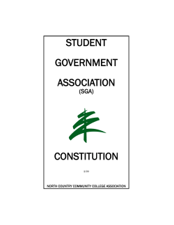 student government association constitution