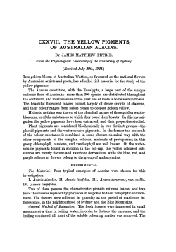 CXXVIII. THE YELLOW PIGMENTS OF AUSTRALIAN ACACIAS.