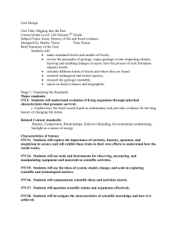 7th Grade - Georgia Standards