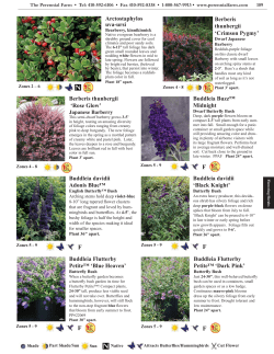 Flowering Shrubs - The Perennial Farm