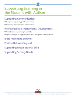 Supporting Learning in the Student with Autism